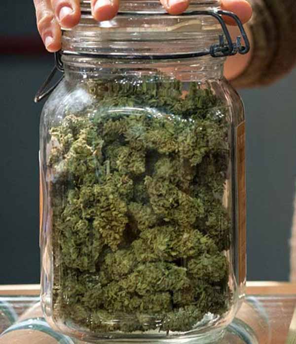 cannabis-West side Cannabis-hemp in food-9 cannabis-West side Cannabis-hemp in food-9